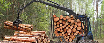 Slew Bearings for Forestry Industry EQUIPMENT MUST BE STRONG AND DURABLE Slew-Bearings-for-Forestry-Industry-EQUIPMENT-MUST-BE-STRONG-AND-DURABLE